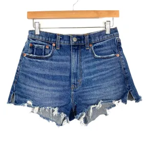 Abercrombie & Fitch Distressed High Rise Mom Shorts- Size 26/2