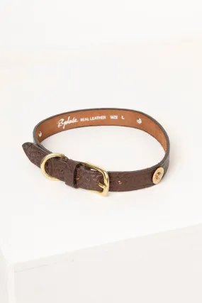 Cartridge Brown Leather Dog Collar