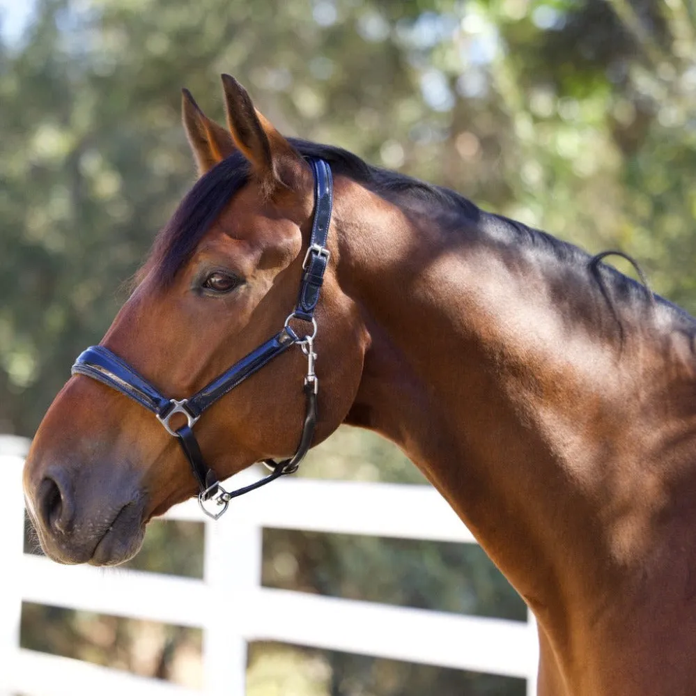 Copenhagen Navy Patent Halter