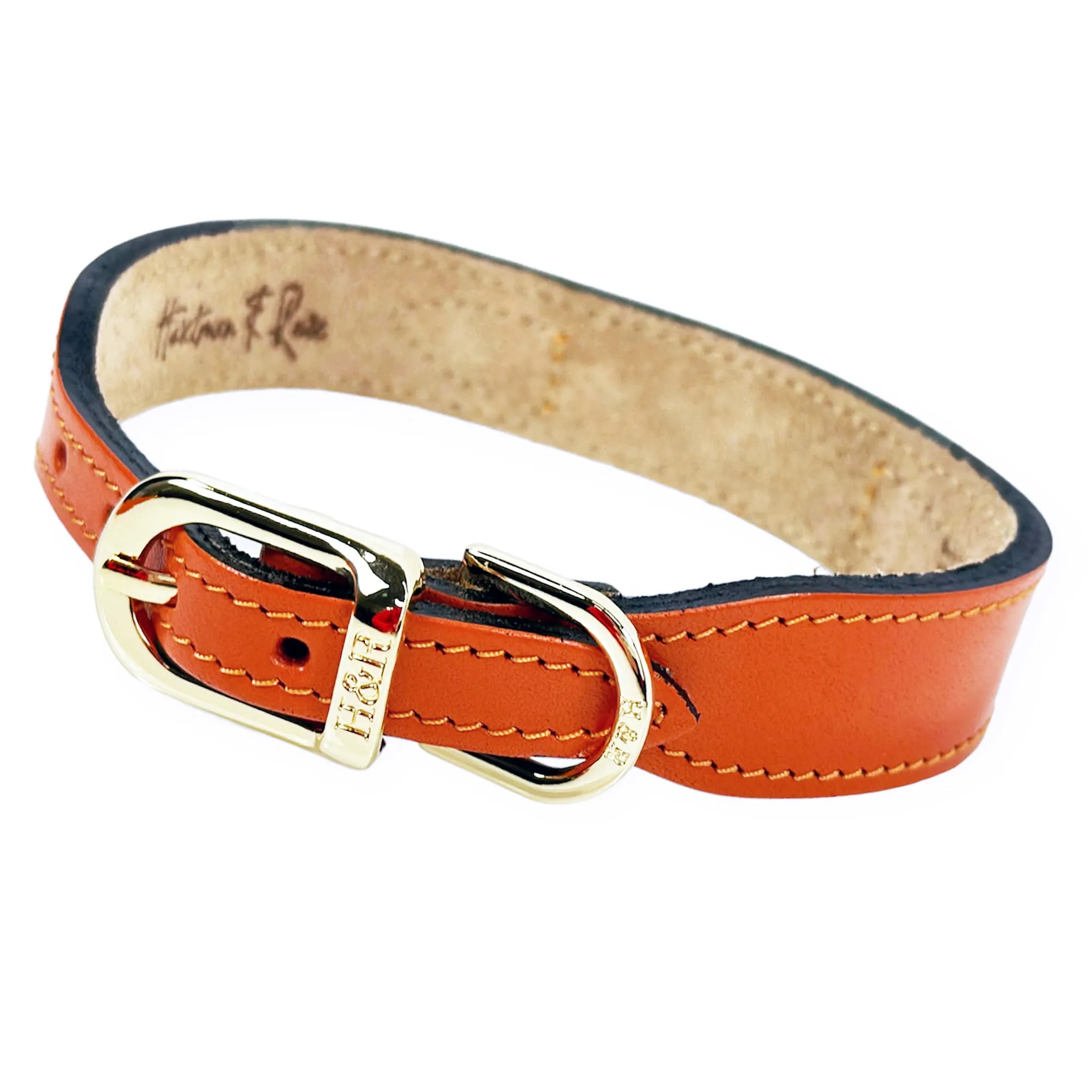 Estate Dog Collar in Tangerine & Gold