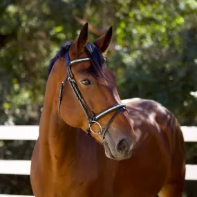 Galway Bridle - Wide Silver Clincher Jumper Bridle