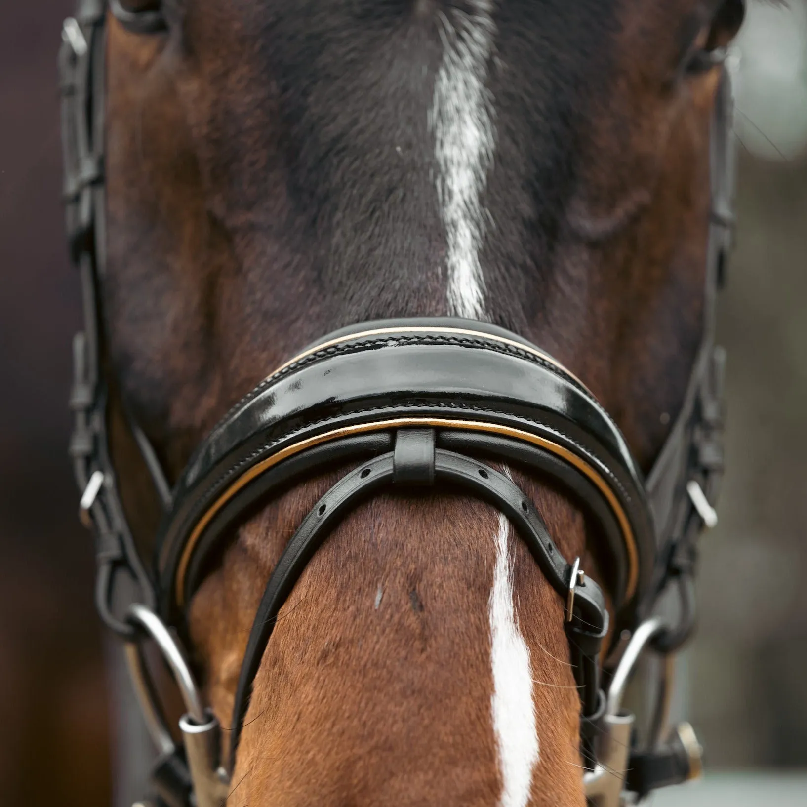 Geneva - Black Patent Snaffle Bridle with Metallic Gold Piping