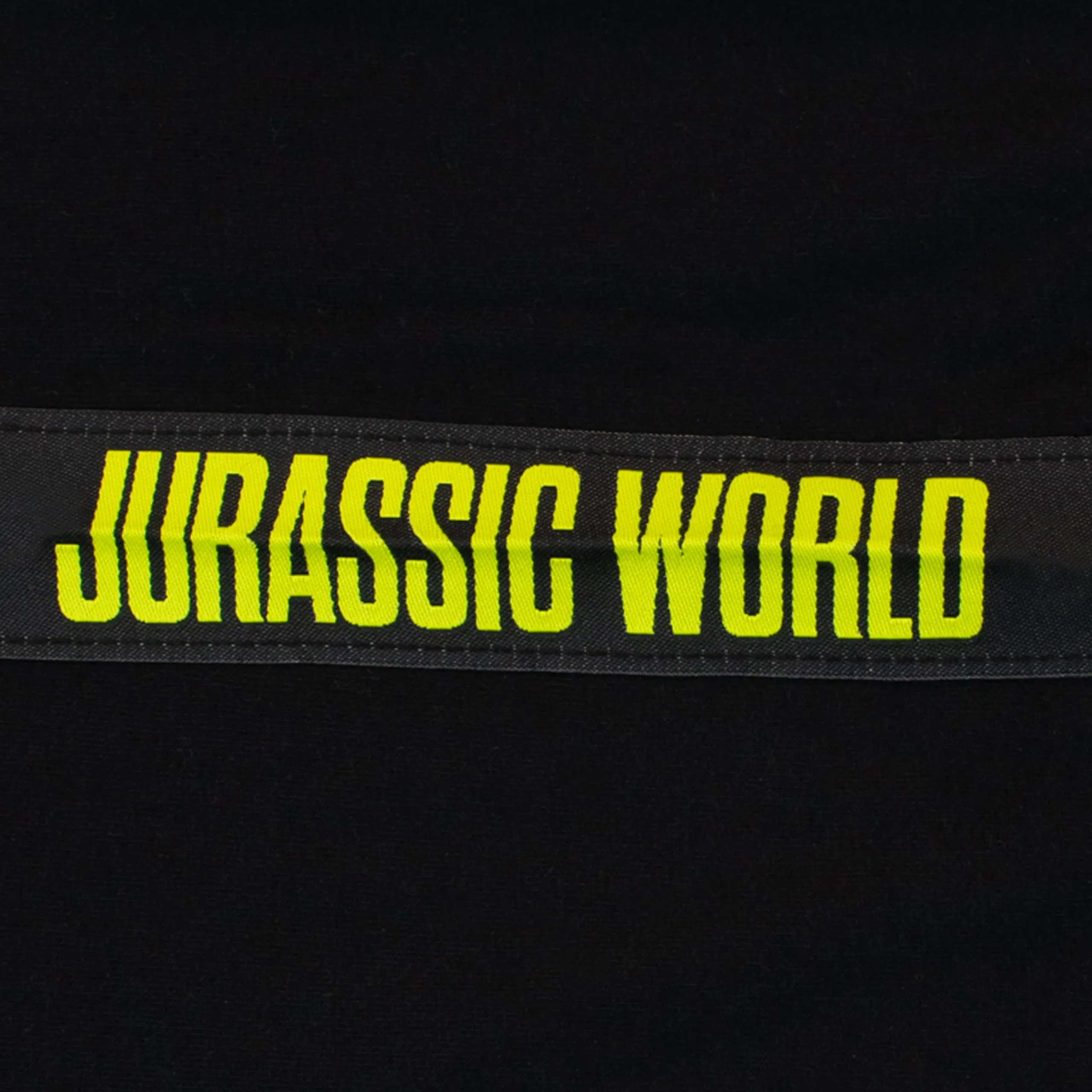 Jurassic World T-Shirt and Shorts Set