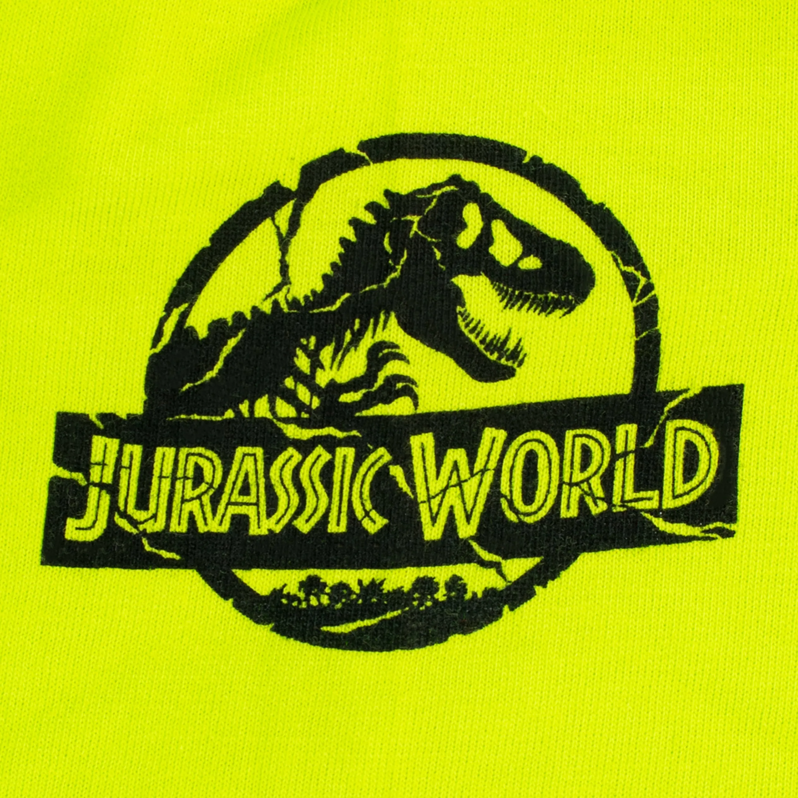 Jurassic World T-Shirt and Shorts Set