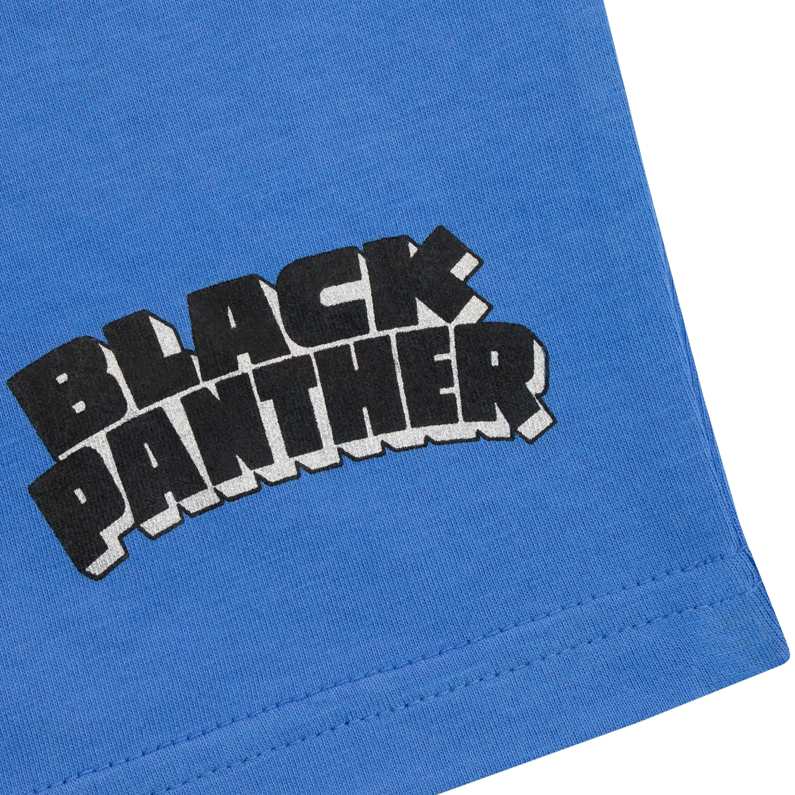 Kids Black Panther T-Shirt and Shorts Set