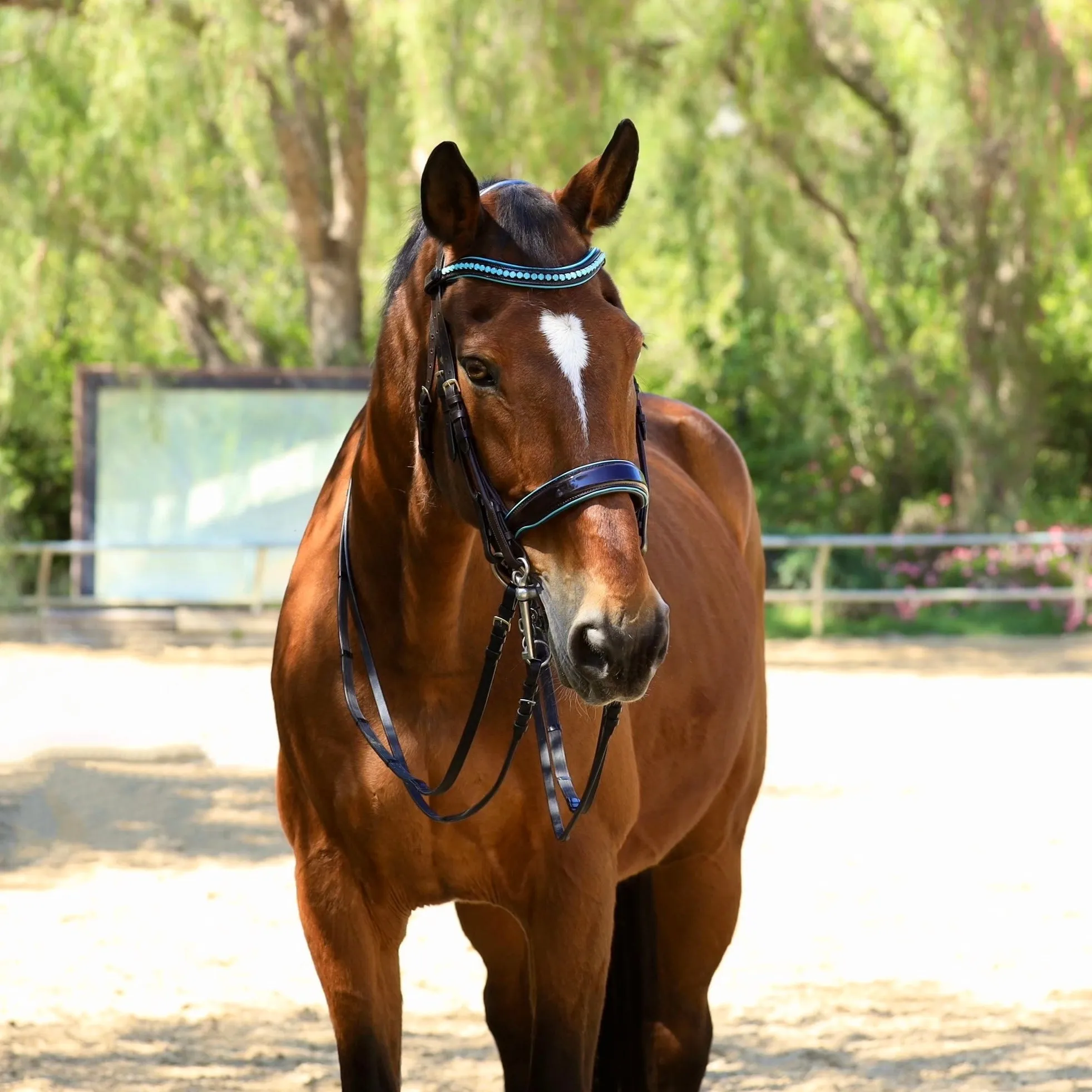 Limited Edition Oceania - Brown Patent Double Bridle