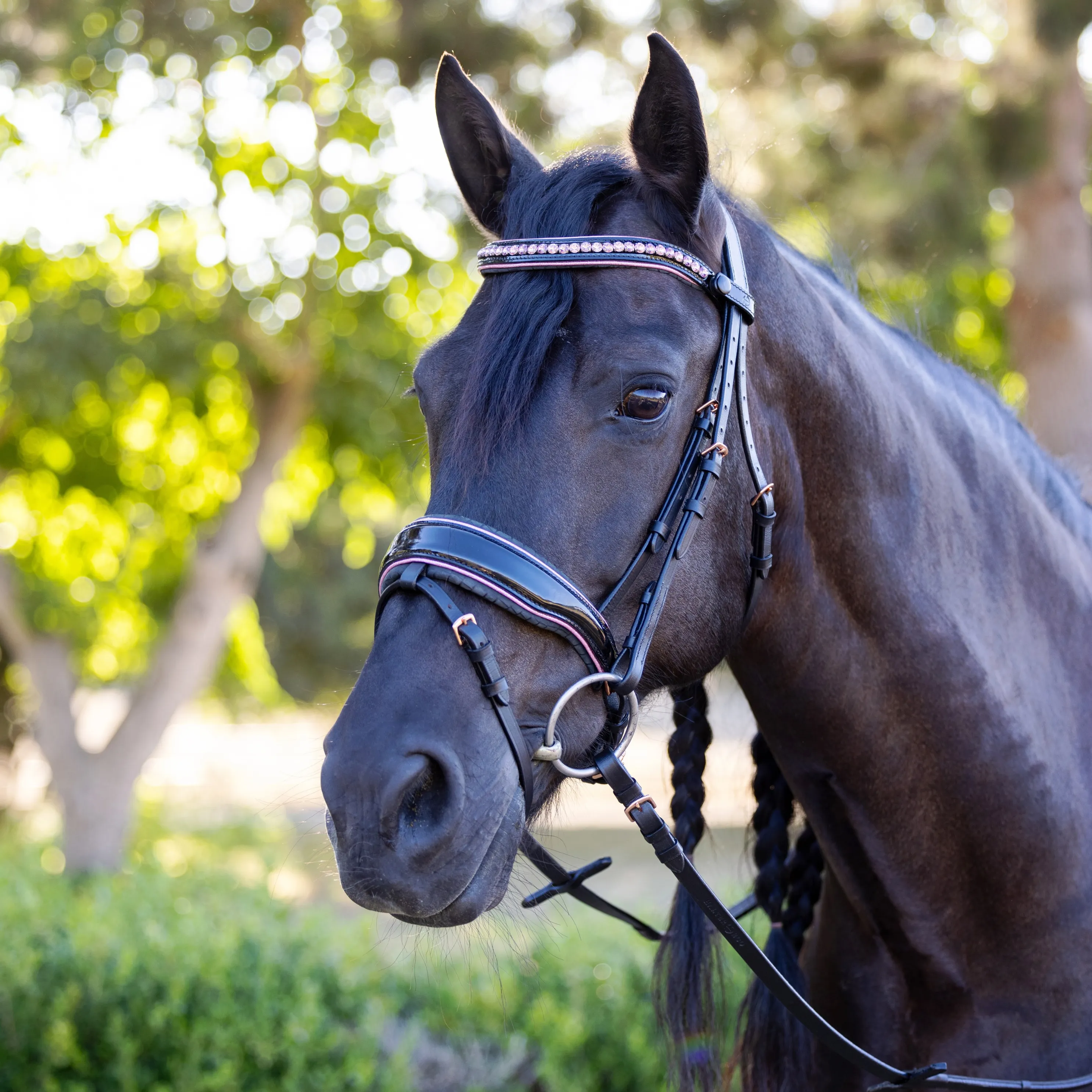 Monroe Snaffle Bridle