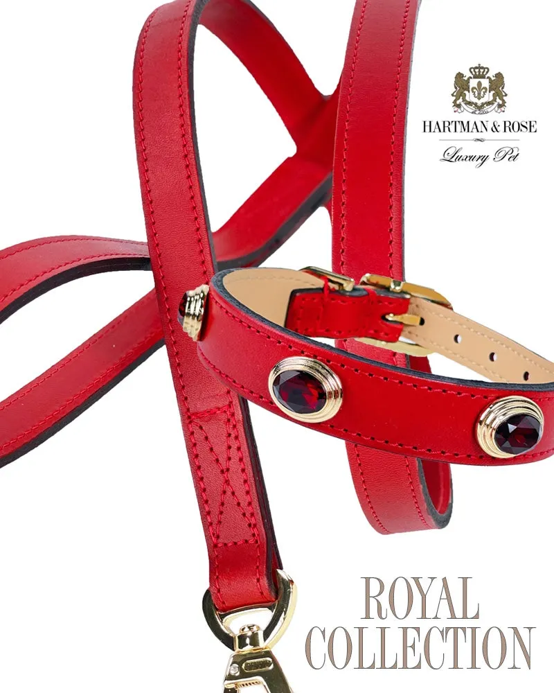 Royal Dog Leash in Ferrari Red & Gold