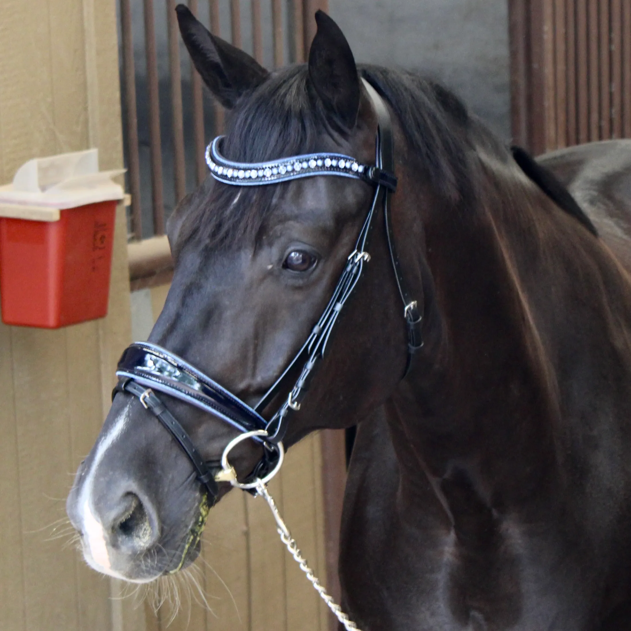 The Bluebell - Navy Patent Leather Snaffle Bridle with REMOVABLE FLASH