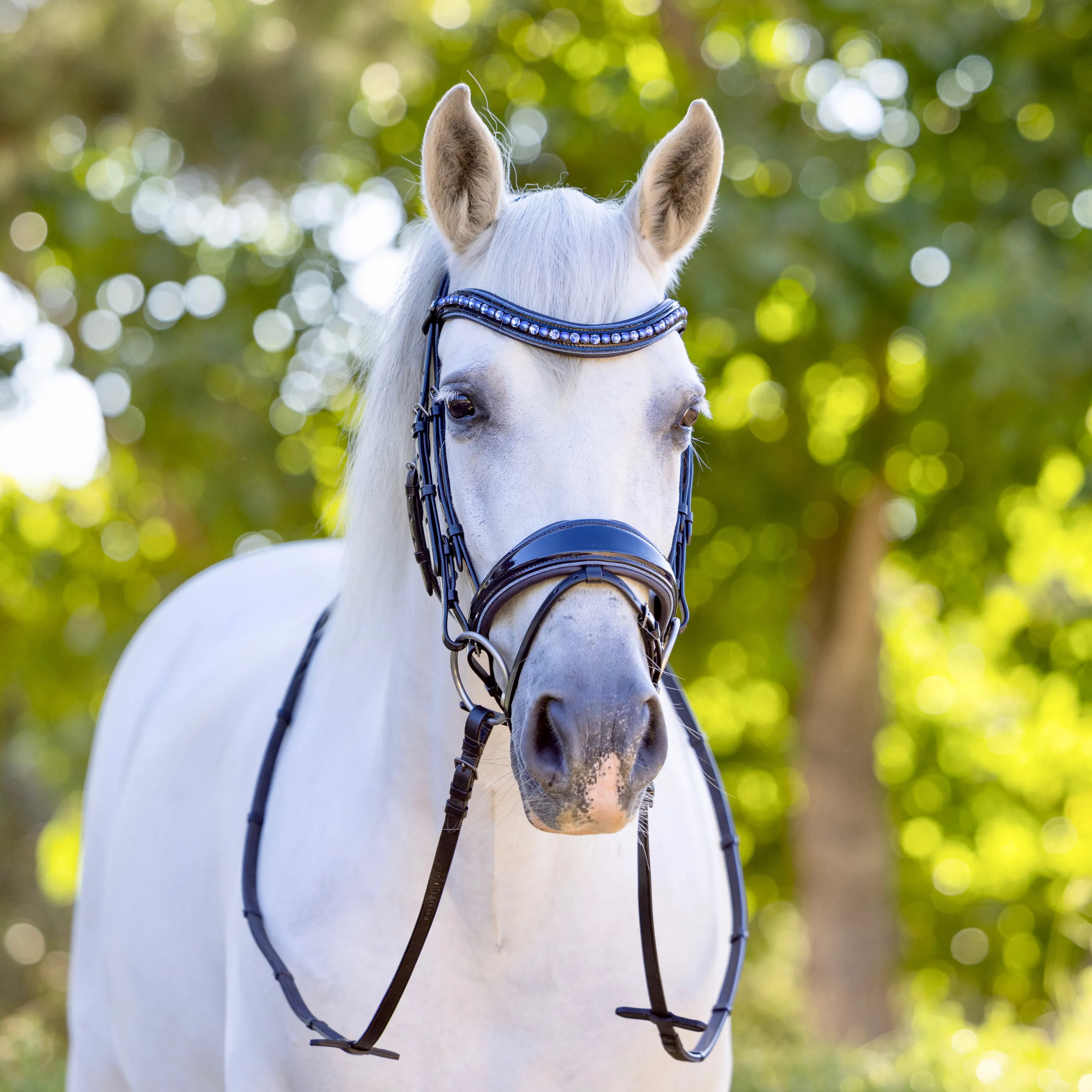 The Bluebell - Navy Patent Leather Snaffle Bridle with REMOVABLE FLASH