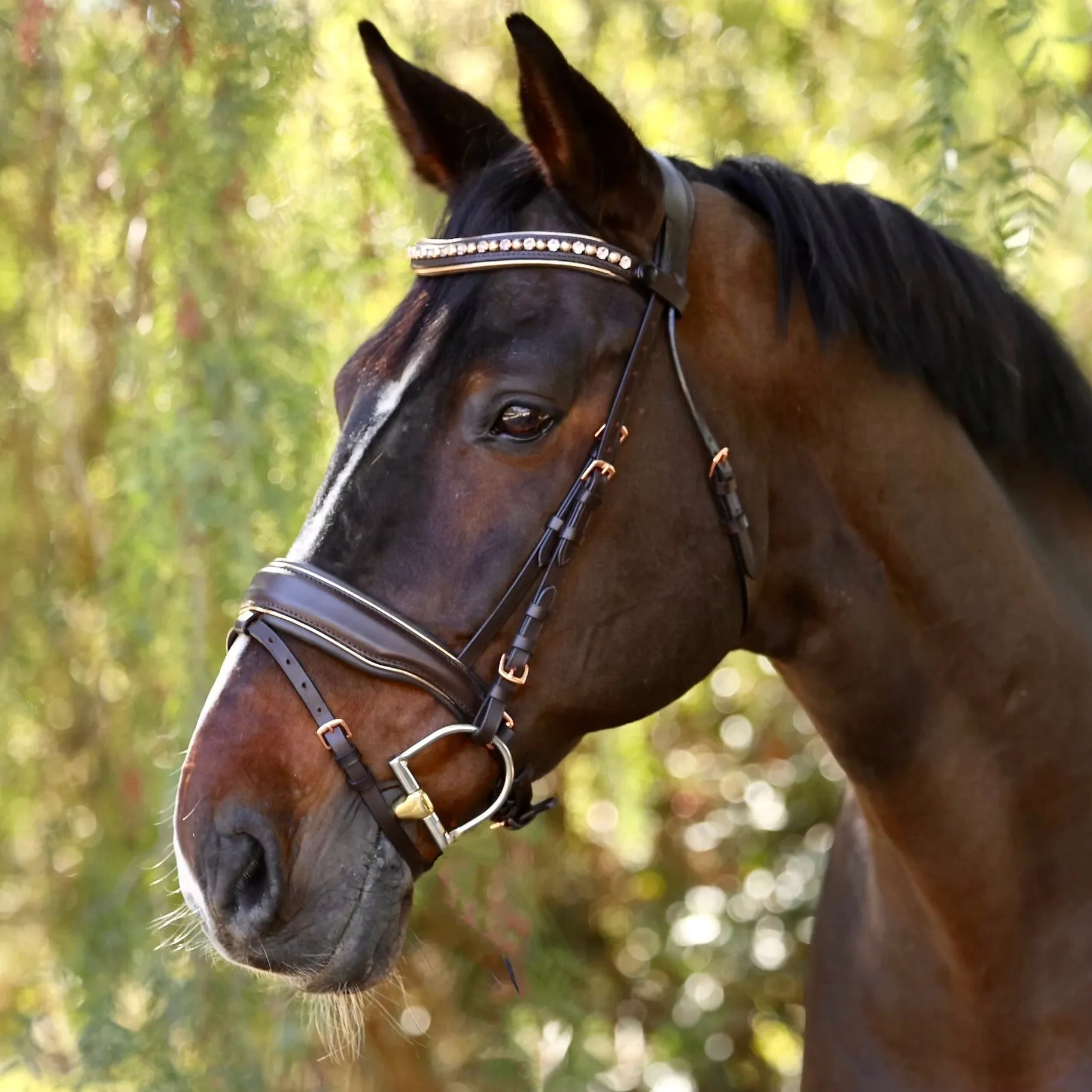 The "Carmel" Brown Leather Anatomical Snaffle Bridle