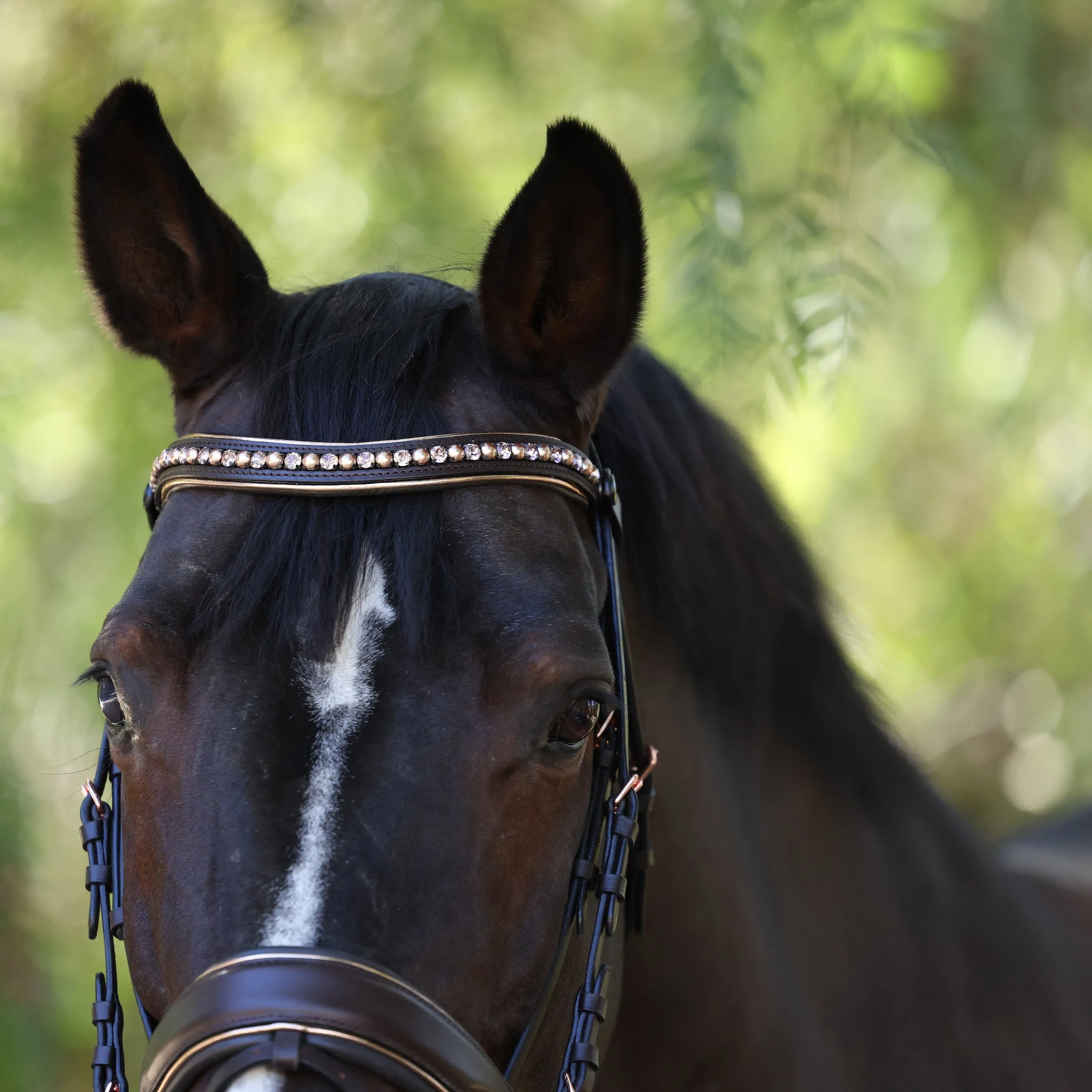 The "Carmel" Brown Leather Anatomical Snaffle Bridle